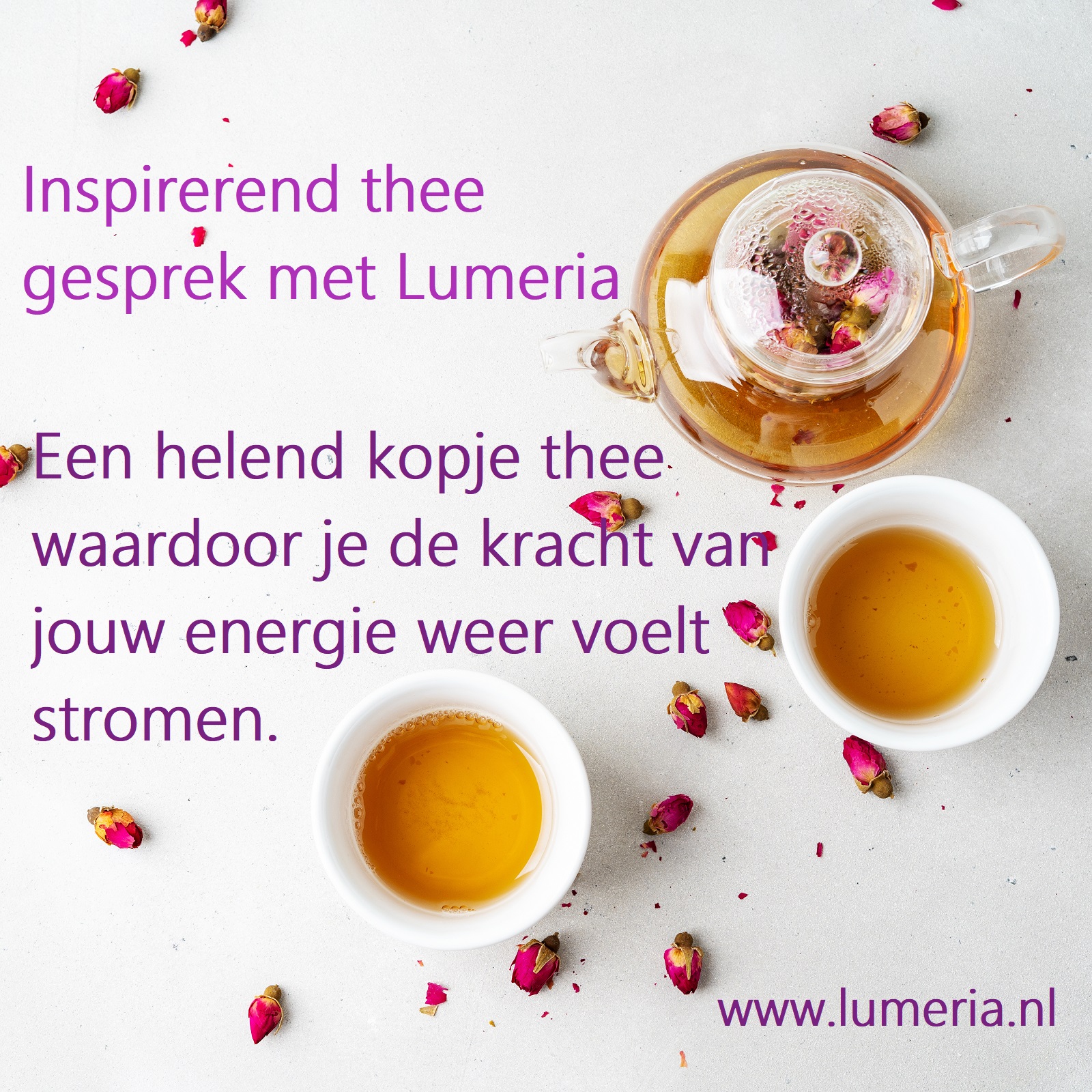beroemd Afwezigheid toewijzen Inspirerend kopje thee - Gesprek met Lumeria - Helend - Opbeurend -  Verhelderend - Lumeriawinkel lifestyle decoratie & Spirit