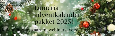 Adventkalender pakket 2024 - levering vanaf oktober 2024