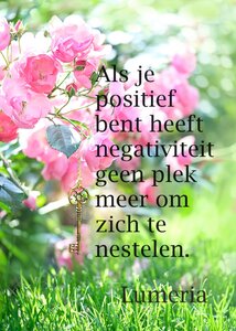 Kaart - Positieve kracht