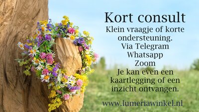 Kort consult - Inzicht en kaartlegging